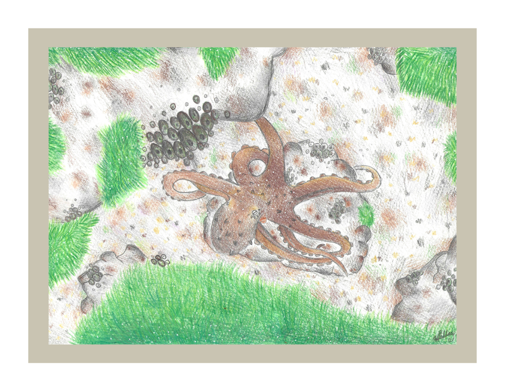 Among the Rocks — Digital print