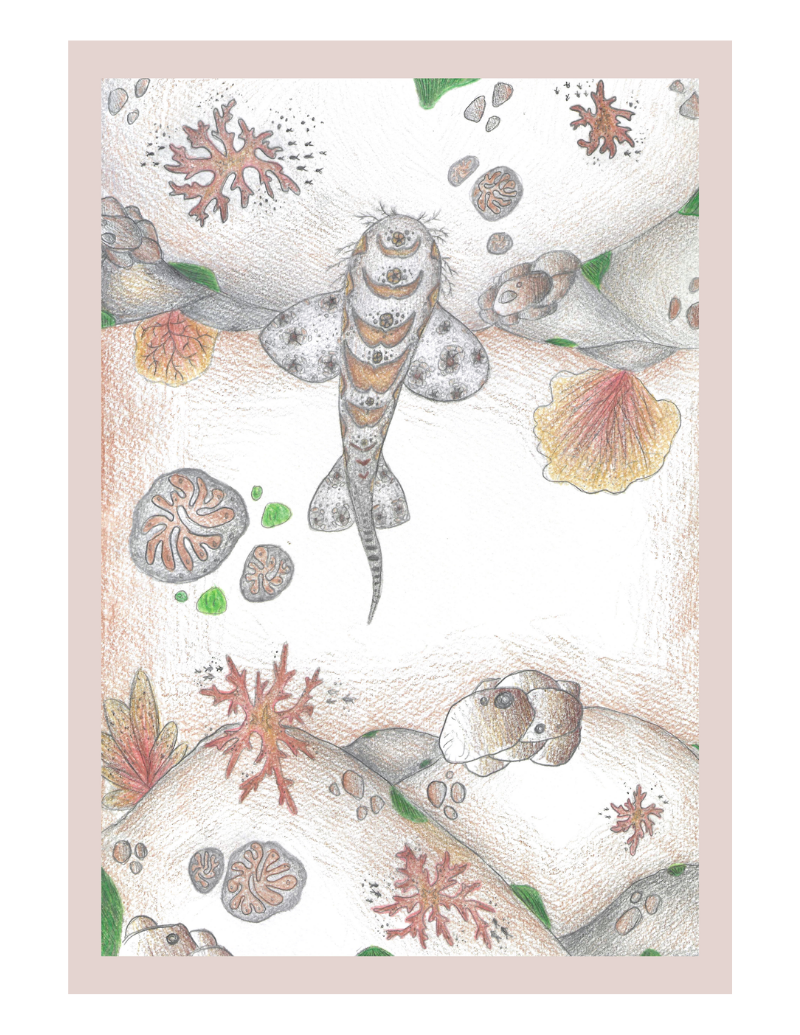Through the Shallows — Digital Print